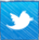 Twitter Page